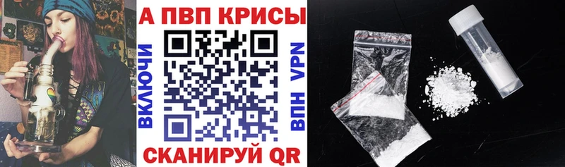 APVP СК КРИС  Майкоп 