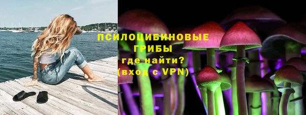 винт Белокуриха
