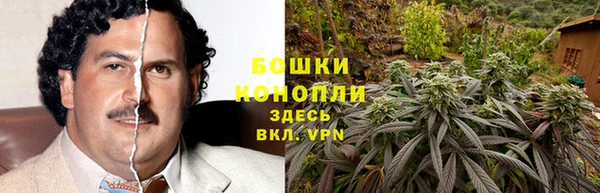 винт Белокуриха