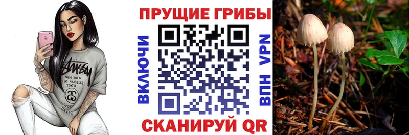Псилоцибиновые грибы Magic Shrooms  Майкоп 